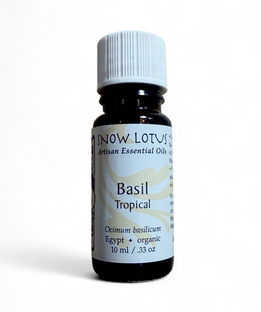 Basil, Tropical