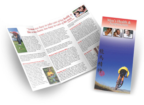 Men's Health & Acupuncture/Brochure